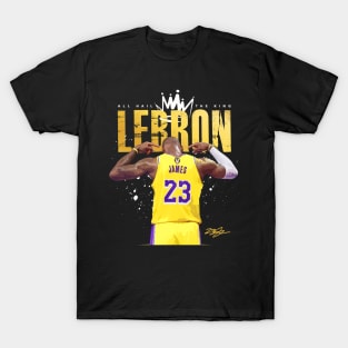 Lebron james t shirts for sale deals